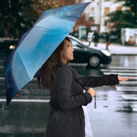 New Zealand Matariki Umbrella Pleiades Star Cluster Blue Galaxy