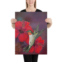 Hibiscus Hummingbird Canvas 18x24 Canvas White - Polynesian Pride