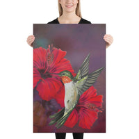 Hibiscus Hummingbird Canvas 24x36 Canvas White - Polynesian Pride