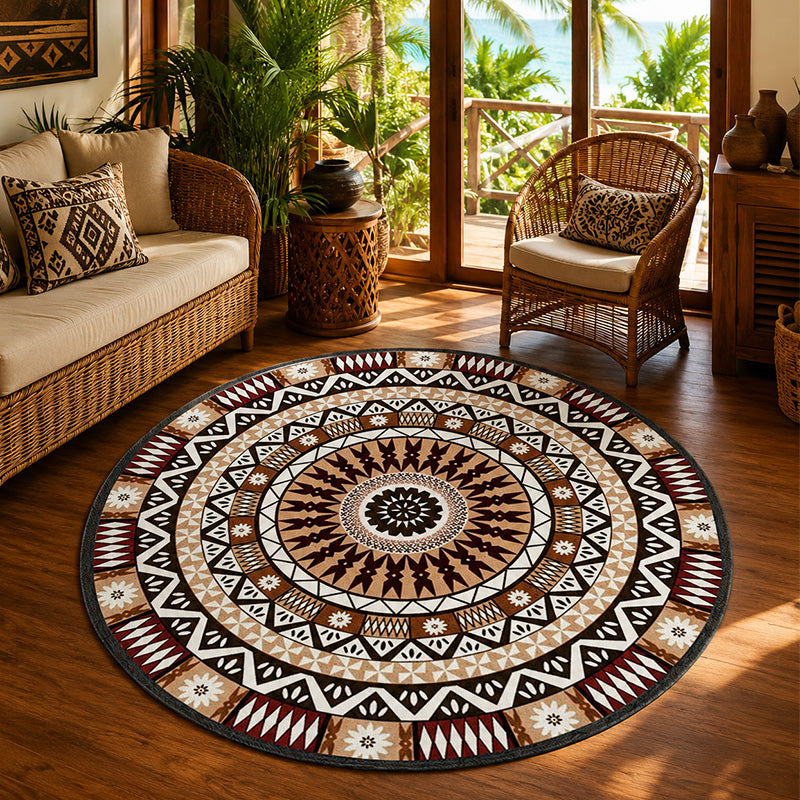 Round patterned rug in a living room with wooden furniture and plants.