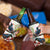 New Zealand Pohutukawa Tui Bird 4 in 1 Can Cooler Tumbler Kowhai Version