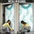 Jade Vine Lei Hawaii Door Cover Aloha Seamless Tropical Leaves - Polynesian Pride