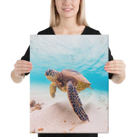 Ocean Picture Canvas 16x20 Canvas White - Polynesian Pride